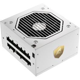 Sharkoon Rebel P20 Fuente de Alimentación 850W ATX 3.1 12V-2x6 Totalmente Modular Cybenetics Gold Ventilador Silencioso Blanco