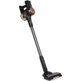 Aspirador Escoba Princess 339390 220 W