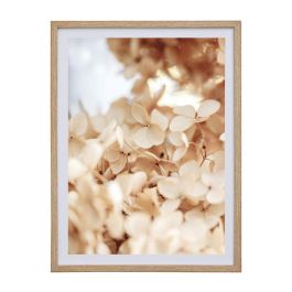 Day Marco Foto Cuadro 30x40 cm Medidas 32x42 cm