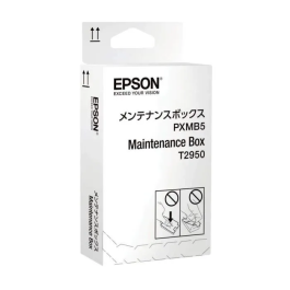 EPSON WorkForce WF-100W Maintenance Box
