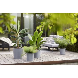 ELHO Greensense Aqua Care Round 30 Maceta Cemento Ligero Interior/Exterior Ø 29,5 x H 29,1 cm