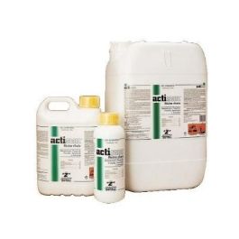 Arpon Actisan 1 L Precio: 38.6899997. SKU: B17JAZJ9K7