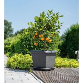 Garden ID 01061469 Maceta Cuadrada Teramo Negro-Antracita 40x35cm Resistente Arañazos Efecto Piedra Con Agujeros Garden ID 01061469 Maceta Cuadrada Teramo Negro-Antracita 40x35cm Resistente Arañazos Efecto Piedra Con Agujeros