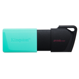 PENDRIVE KINGSTON 256GB USB3.2 DT EXODIA M GEN1 NEGRO/TURQUESA Precio: 19.98999981. SKU: S7739000