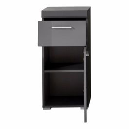Trendteam Mueble Bajo de Baño AMANDA - 1 Puerta + 1 Cajón - Gris - L37 x P31 x H79 cm