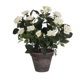 Mica Decorations Rosal Ø11.5x33x25cm Blanco PVC con Maceta Cerámica Gris Precio: 23.50000048. SKU: S7902754