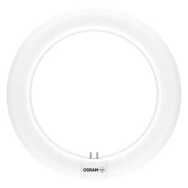 [LVE-4058075604612] Tubo LED T9 Ledvance/Osram G10q 12W 1320Lm 4000K 120º IP20 - Blanco Natural Precio: 16.78999993. SKU: B1A2BSAH32