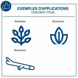 Scheppach BC-PS150-X Motosierra Inalámbrica 6 Pulgadas 20V IXES - Longitud de Corte 150 mm