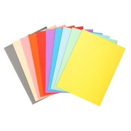 Exacompta Subcarpeta de Cartulina 100% Reciclada DIN A4, 170 g/m², Colores Surtidos Vivos, Certificado Blue Angel Precio: 13.98999943. SKU: S8406145