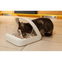 SUREFEED Dispensador de comida con chips electrónicos blancos para gatos y perros: para comida seca o comida húmeda