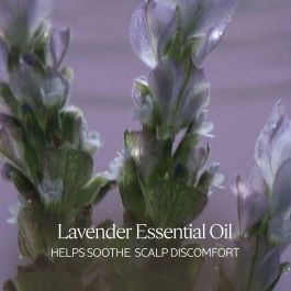 L'Occitane En Provence Aromacología Champú Suave Equilibrador para Cabello Brillo e Hidratación Profunda, Sin Sulfatos ni Silicona, 75 ml