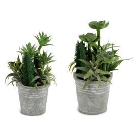 Maceta redonda para cactus Ibergarden 15x24x15 cm, plástico y cemento, colores verde y plata (12 Unidades) Precio: 62.89999991. SKU: B1EL8SWF4K