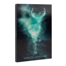 ERIK Cuaderno A5 Harry Potter Lenticular 3D, 96 Hojas Punteadas, Tapa Dura, Marcapáginas y Bolsillo Interior Precio: 9.68999944. SKU: B18BK8SVTA