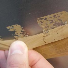 Foliatec FO2115 Eliminador de Adhesivos para Restos en Superficies no Absorbentes, Rápido y Eficaz con Rasqueta