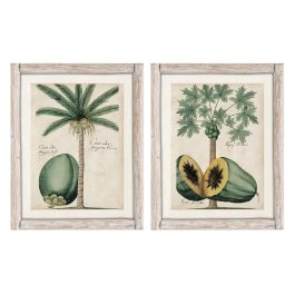 DKD Home Decor Cuadro Tropical de Abeto y Cristal con Palmera Fruta Verde Beige 3.5 x 50 x 40 cm (2 Unidades) DKD Home Decor Cuadro Tropical de Abeto y Cristal con Palmera Fruta Verde Beige 3.5 x 50 x 40 cm (2 Unidades) Precio: 68.99000009. SKU: B14NHCG4TC