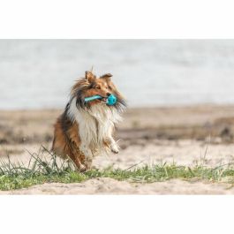 Pelota para Mascotas Trixie Turquesa TPE Bola ø 6 x 23 cm