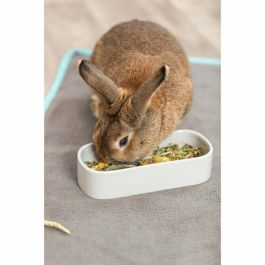 Comedero para Mascotas Trixie 600 ml