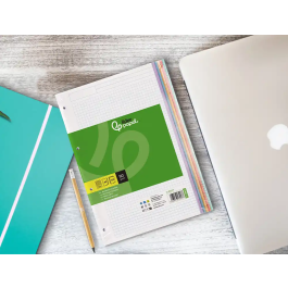 Liderpapel Recambio A4 120 Hojas 90gr Cuadro 5 mm 4 Taladros Bandas Colores Pasteles