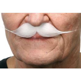 Bigote one size Precio: 3.99557609. SKU: S2418514
