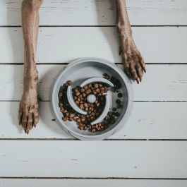 Hunter Comedero Anti-Glotón Atlanta 550 mL Melamina Gris