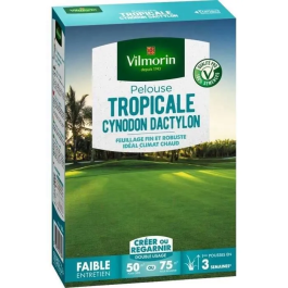 Vilmorin VIL3182670261398 Semillas de hierba marina Les Tropicales Cynodon Dactylon - 500 g Precio: 30.94999952. SKU: B13S7JJ7XG