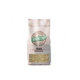 Trigo Sarraceno 500 Gr Precio: 3.5000004. SKU: B12H6ZHVZC