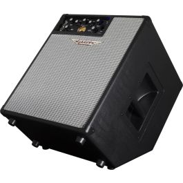 Ashdown Amplificador Bajo Combo Original Evo 300W 1x12" para Bajo Eléctrico