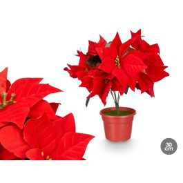 Flor Pascua 30Cm Krist+ (12 Unidades) Precio: 45.50000026. SKU: B1HVY95CKL