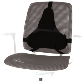 Fellowes Respaldo Ergonómico Profesional con Memory Foam de 3 Secciones, Adaptable a la Curvatura de la Espalda, Color Negro