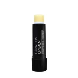 Cacao De Labios Cacao De Labios Precio: 4.58999948. SKU: B15F9WGNWQ