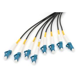 Digitus Cable de Fibra Óptica LC/UPC a LC/UPC OS2 de 8 Fibras, 100m, Preconfeccionado
