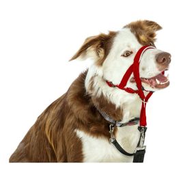 Company Of Animals Halti Headcollar Rojo Talla 2 Bozal Antirones para Perro