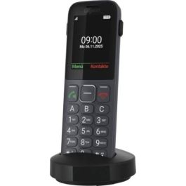 Gigaset S30853-H1236-R101 Teléfono Inalámbrico, Pantalla 6,1 cm (2.4"), Negro/Gris