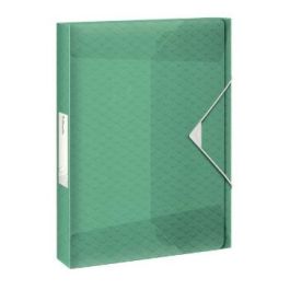 Esselte Carpeta De Proyectos Colour´Ice Capacidad Adicional A4 Polipropileno Verde Translúcido Precio: 8.88999947. SKU: B19YF2JT6V