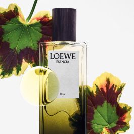 Loewe Esencia Elixir EDP Vapo 50 ml Perfume Hombre Amaderado