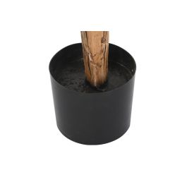 DKD Home Decor Planta Tropical Verde 180 x 80 x 80 cm Poliester y PP (2 Unidades)