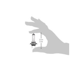 Lámpara Halógena M-Tech Px26D 12 V-55 W H7 | 10 Unidades MTECZ7 Lámpara Halógena M-Tech Px26D 12 V-55 W H7 | 10 Unidades MTECZ7