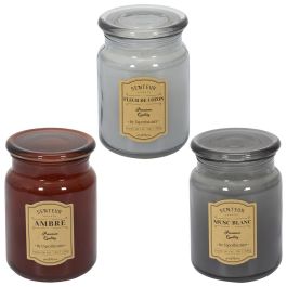 Home Deco Factory Vela Perfumada Tarro Colección Apothicaire - Ámbar, Flor de Algodón, Almizcle Blanco - Cera de Parafina 530g, 14.5cm