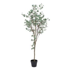 Planta Decorativa Polietileno Eucalipto 80 x 82 x 180 cm Planta Decorativa Polietileno Eucalipto 80 x 82 x 180 cm