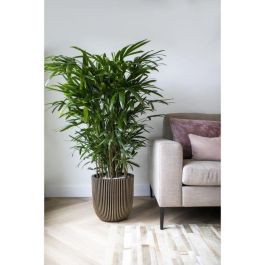 Capi Jardiniere Groove 43x41 cm negro y dorado 445487 Capi Jardiniere Groove 43x41 cm negro y dorado 445487
