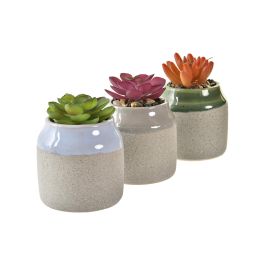 Planta Scandi DKD Home Decor Verde Gris 7.5 x 12 x 7.5 cm (6 Unidades)