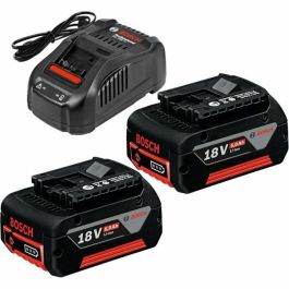 Bosch Professional BOS3165140839341 Set de arranque con 2 baterías de 5.0 Ah y cargador GAL