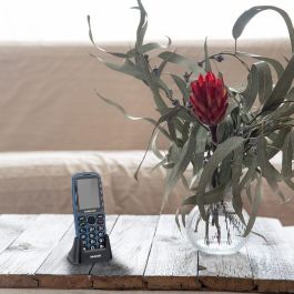 Daewoo Senior Pant 2.4 Teléfono Móvil - Pantalla 2.4 Pulgadas, Cámara, Radio FM, Luz SOS y Linterna, Color Azul