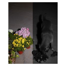 Anker Eufy Spotlight Cam Solar S40 - Cámara de Seguridad 2K Exterior e Interior con Batería y Panel Solar, Visión Nocturna, IP67, Inalámbrica