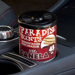 Abc Cs12 PER80130 - Ambientador Perfumador en Lata Tipo Gel Aroma Canela 100 gramos - Hasta 45 días de duración