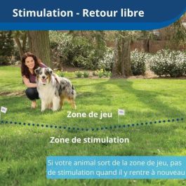 Collar receptor inalámbrico para mascotas PetSafe 3,6+ kg Collar receptor inalámbrico para mascotas PetSafe 3,6+ kg