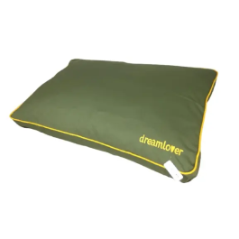 Dreamlover Funda Soft Verde 90x60x10 cm Precio: 22.384999709600002. SKU: B15K8NNEXJ