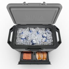 Ninja FB151EUGY FrostVault 47 L Nevera Rígida con Zona Seca