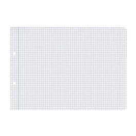 Liderpapel Recambio Cuadernos A5 Apaisado, 100 Hojas Cuadrícula 4 mm, Papel 75 g, 2 Taladros con Margen