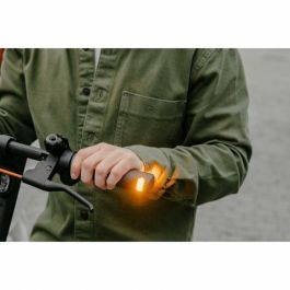 Segway KickScooter F2 Pro E Patinete Eléctrico 450W 10 Pulgadas 55 km SEG1693105990718